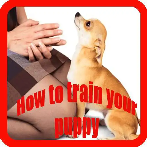 Free play online Training a Puppy APK Free play online Training a Puppy APK