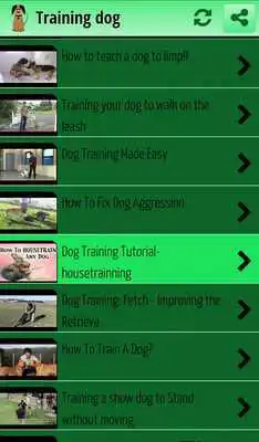 Play Training dog
