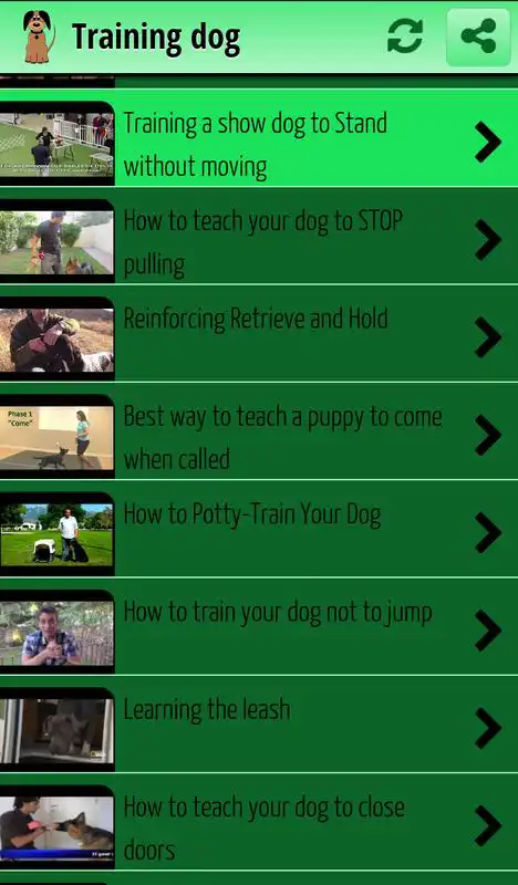 Play Training dog