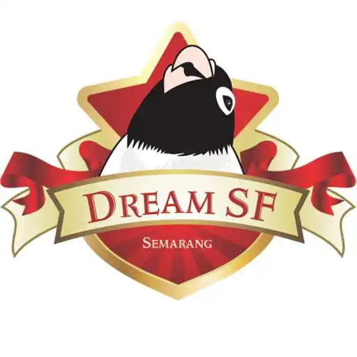 Play Training Lovebird (Pancingan Suara Burung) APK