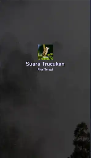Play Training Trucukan (Suara Masteran) as an online game Training Trucukan (Suara Masteran) with UptoPlay