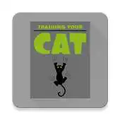 Free play online Training Your Cat APK