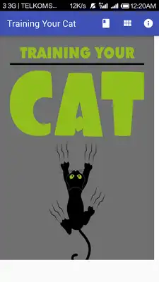 Play Training Your Cat