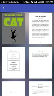 Play Training Your Cat