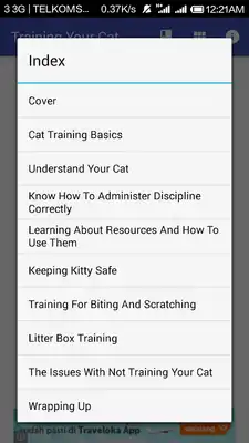 Play Training Your Cat