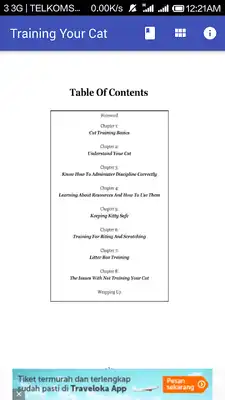 Play Training Your Cat