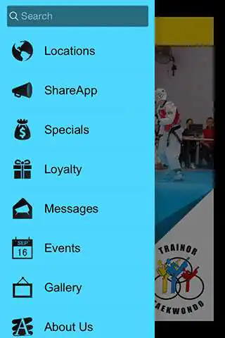 Play Trainor Taekwondo as an online game Trainor Taekwondo with UptoPlay