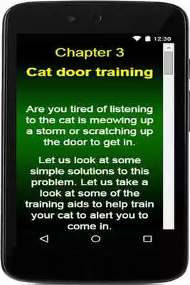 Play Train Your Cat Play Train Your Cat