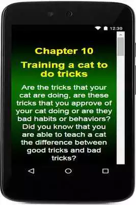 Play Train Your Cat Play Train Your Cat