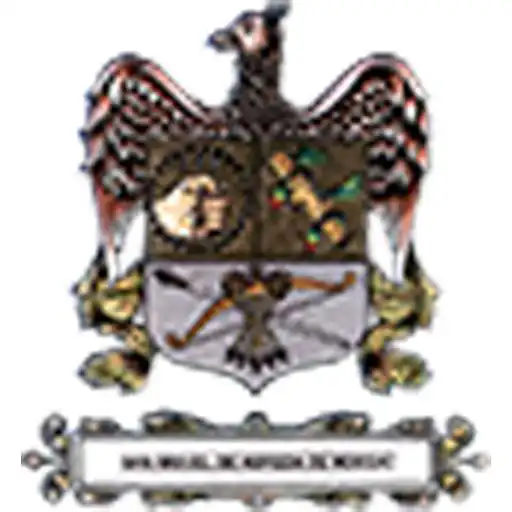 Play Trami App Mocoa APK