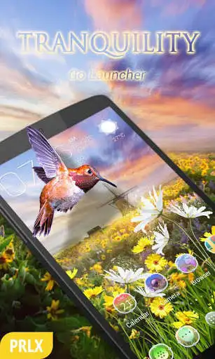 Play Tranquility Parallax Go Launcher Theme