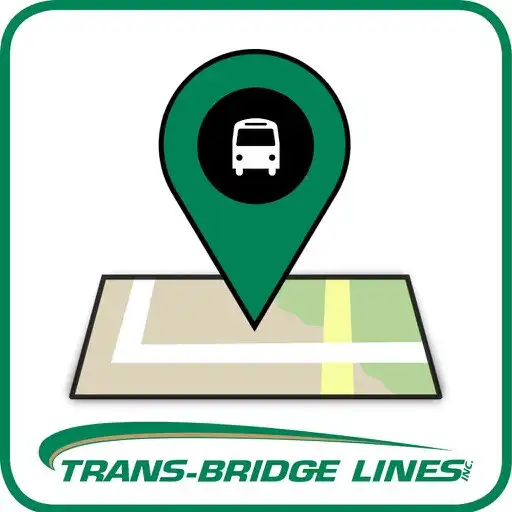 Play Trans-Bridge Lines APK