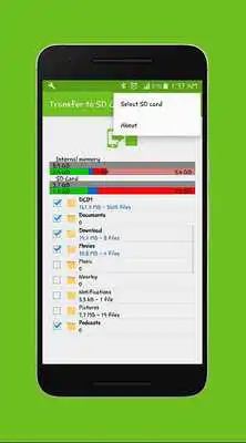 Play Transfer to SD Card