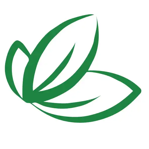 Play Transform Naturally APK