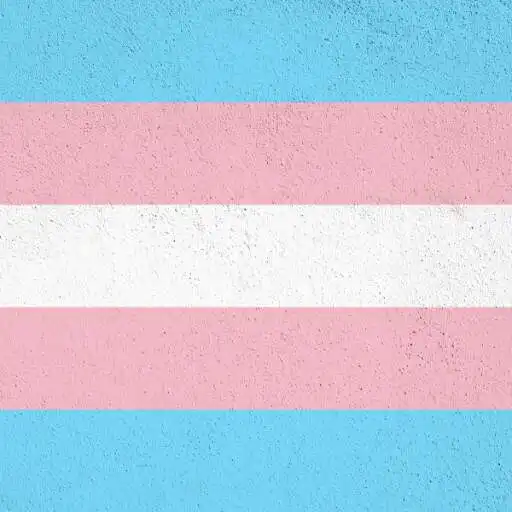 Play Transgender Wallpaper APK