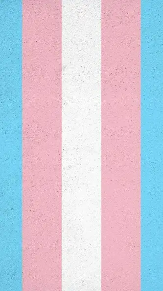 Play Transgender Wallpaper as an online game online Transgender Wallpaper with UptoPlay Play Transgender Wallpaper as an online game Transgender Wallpaper with UptoPlay