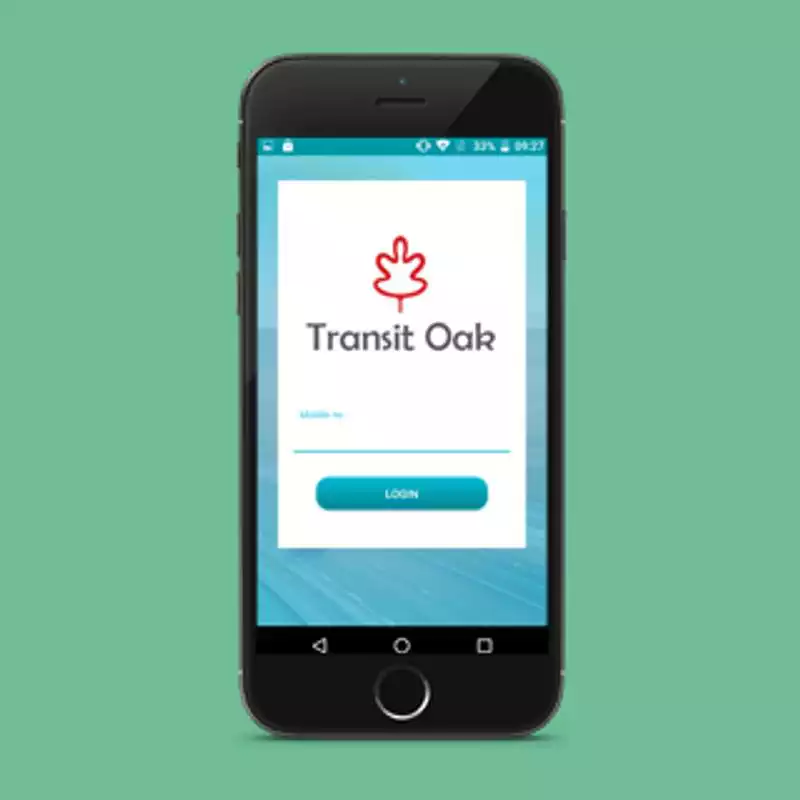 Play Transit oak