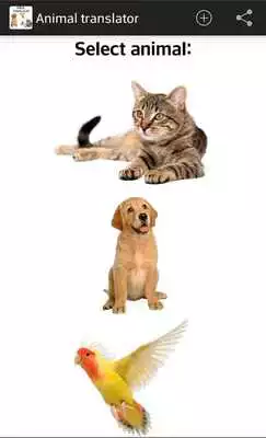 Play Translate animals (joke) Play Translate animals (joke)