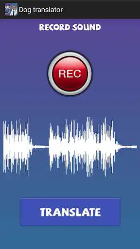 Play Translate dog (prank)