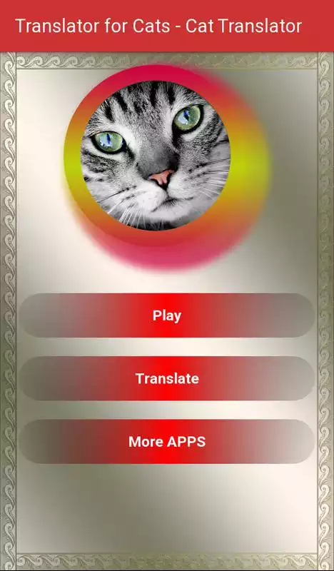 Play Translator for Cats - Cat Translator