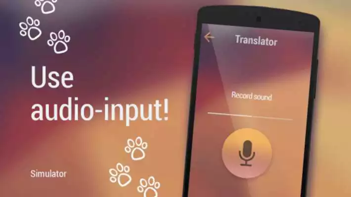 Play Translator For Cats Simulator
