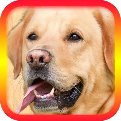 Play Translator For Dogs Prank APK