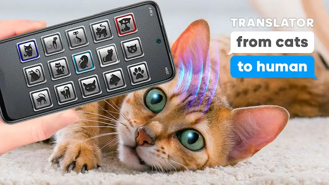 Play Translator from cats to human as an online game Translator from cats to human with UptoPlay