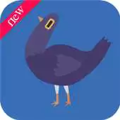 Free play online Trash Dove Skate Run APK Free play online Trash Dove Skate Run APK