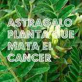 Free play online Tratamiento para El Cancer APK