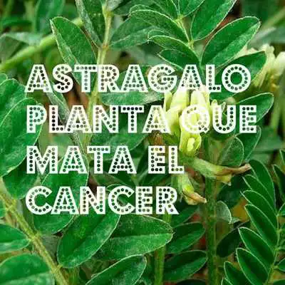 Play Tratamiento para El Cancer Play Tratamiento para El Cancer
