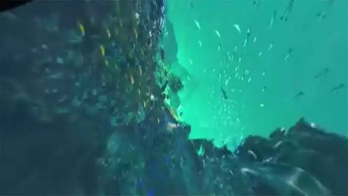 Play Travel to Deep Ocean with Cardboard 360
