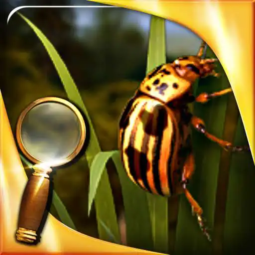 Free play online Treasure Island HD (full) APK Free play online Treasure Island HD (full) APK