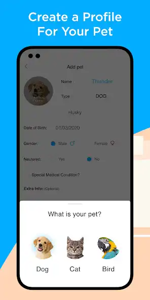 Play Treatlee as an online game Treatlee with UptoPlay