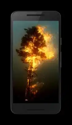 Play Tree 3D Video Wallpaper