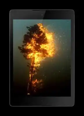 Play Tree 3D Video Wallpaper