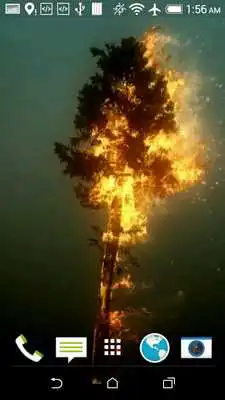 Play Tree 3D Video Wallpaper