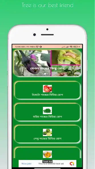 Play Tree Care: Disease of tree as an online game Tree Care: Disease of tree with UptoPlay