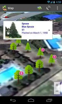 Play Tree Care