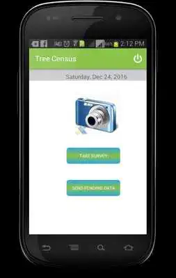 Play Tree Census Play Tree Census