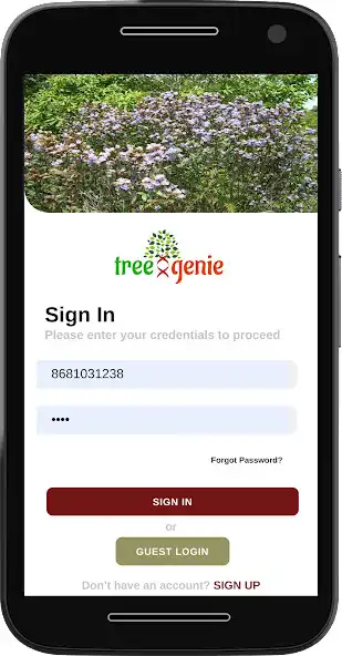 Play TreeGenie  and enjoy TreeGenie with UptoPlay