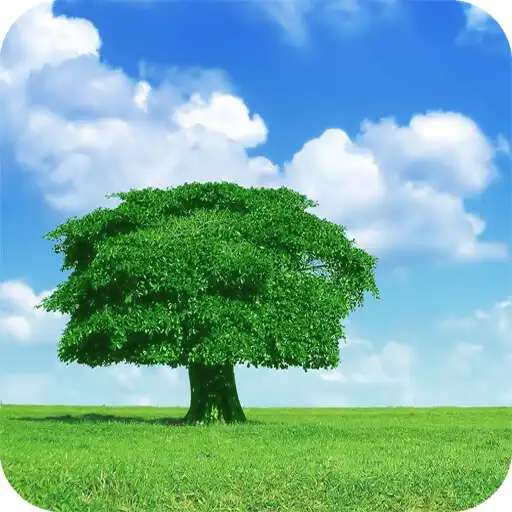 Play Tree Hd Wallpaper APK