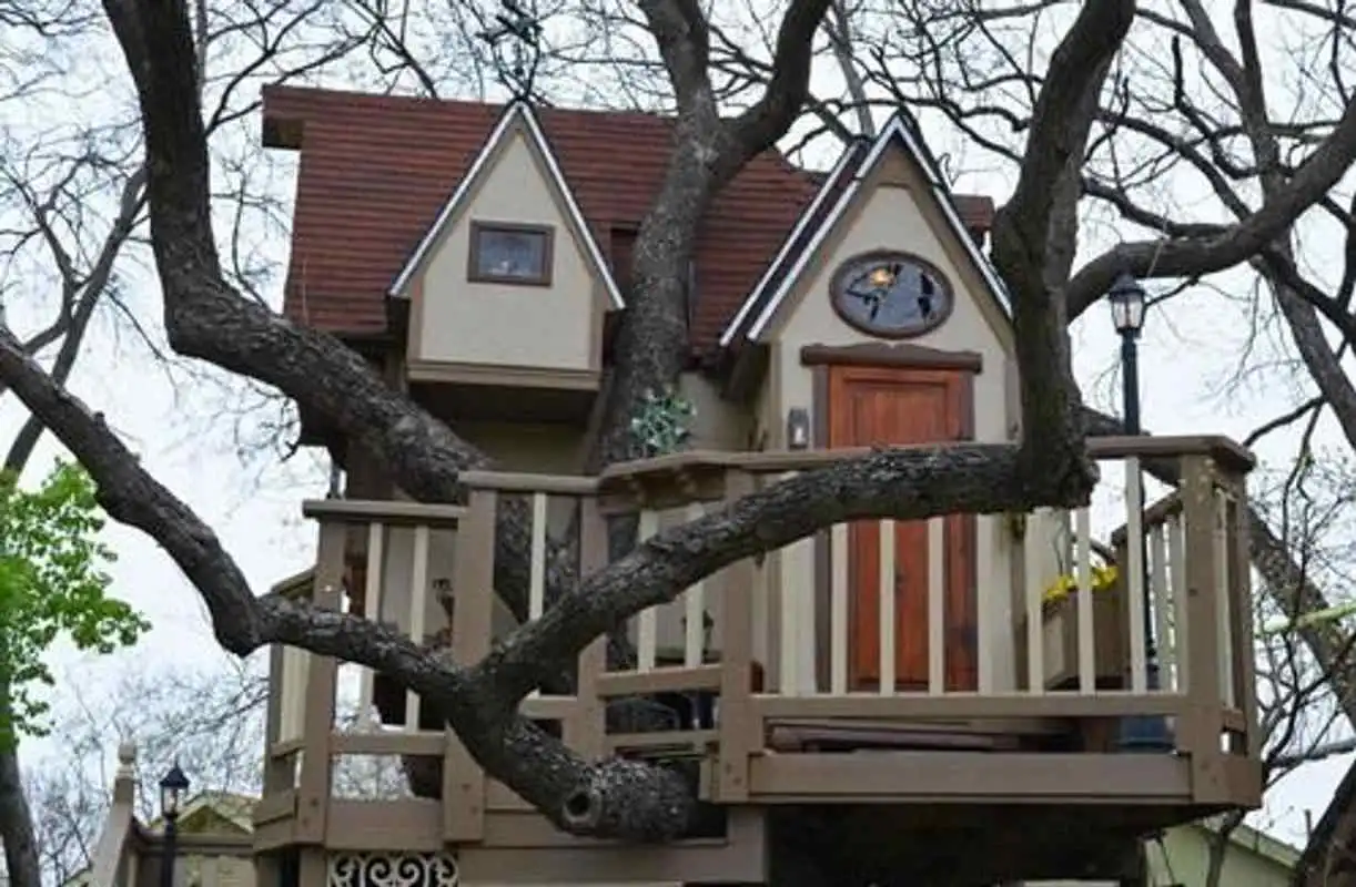 Play Tree House Designs