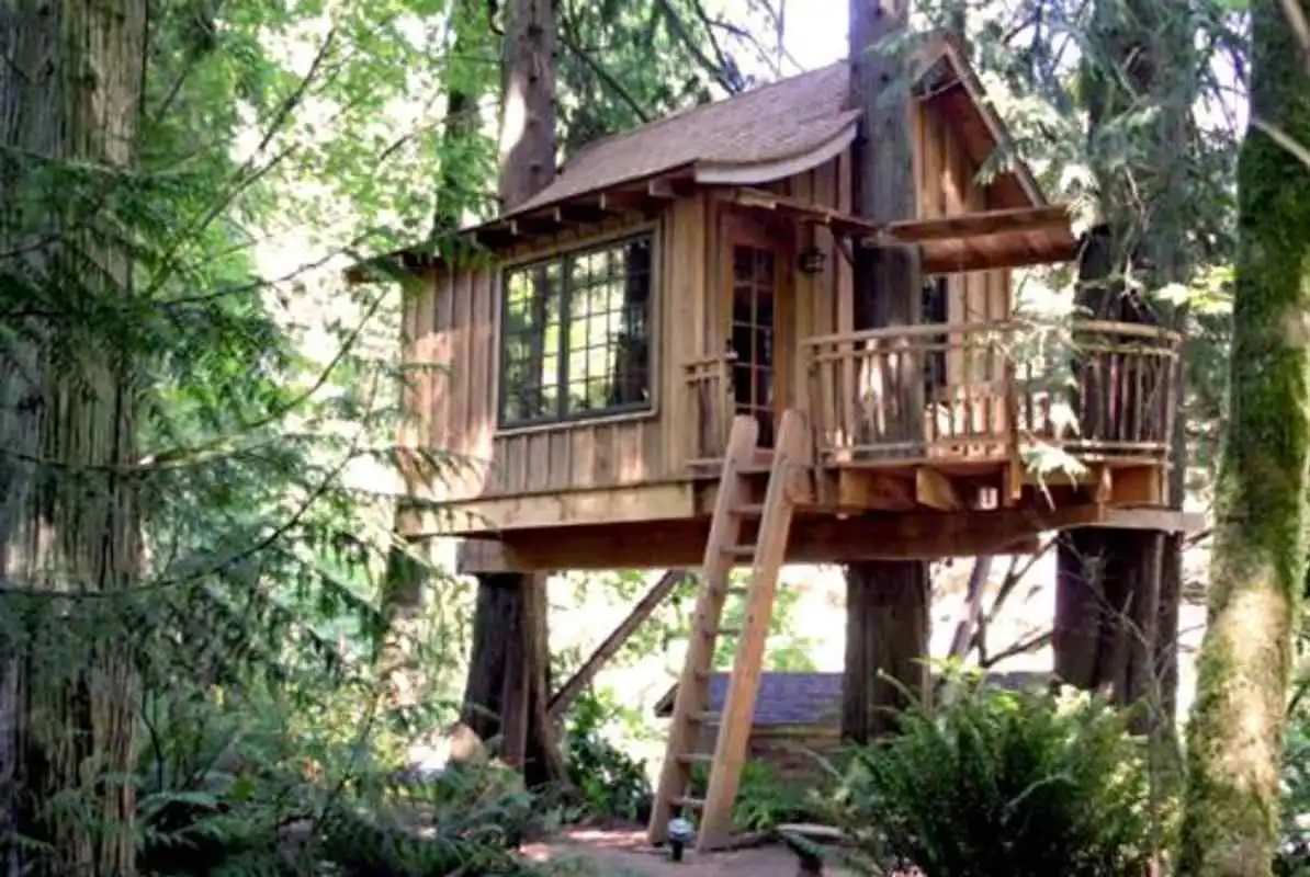 Play Tree House Designs
