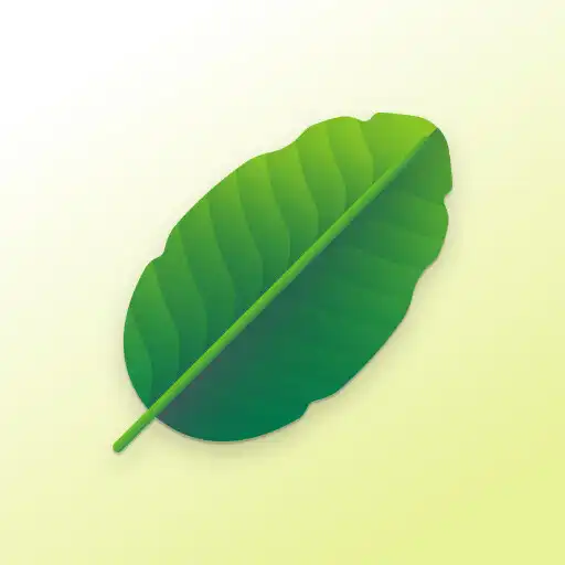Play TreeIt - Mark trees APK