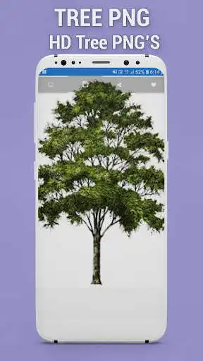 Play Tree PNG - HD Tree PNG  and enjoy Tree PNG - HD Tree PNG with UptoPlay