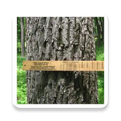 Play Tree Scale Cruise APK Play Tree Scale Cruise APK