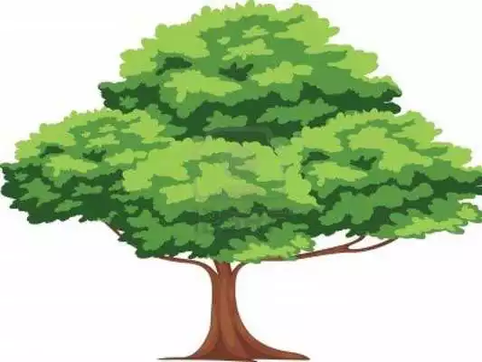 Play Tree Wallpapers