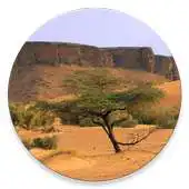 Free play online Trendy Mauritania APK Free play online Trendy Mauritania APK