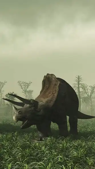 Play Triceratops Wallpaper as an online game Triceratops Wallpaper with UptoPlay