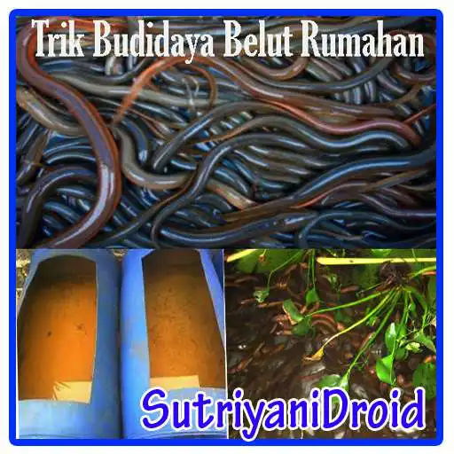 Run free android online Tricks Eel Aquaculture Home APK Run free android online Tricks Eel Aquaculture Home APK